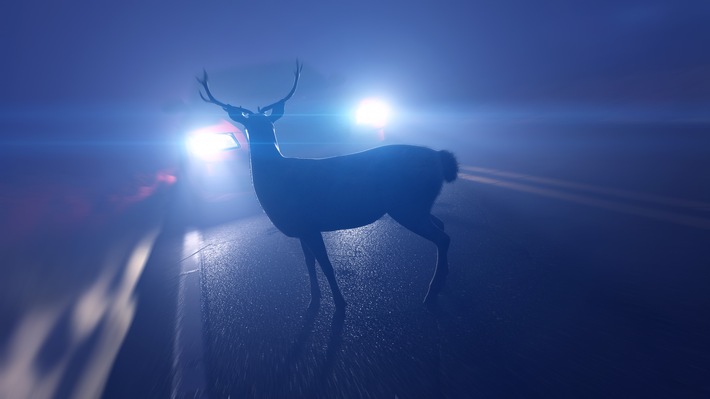 Achtung Autofahrer: Rehe verursachen jetzt häufig Wildunfälle!