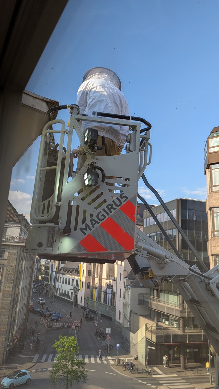 Bundespolizei und Feuerwehr Köln retten Bienenvolk und Mäusebussard in tierischen Einsätzen am 21. und 22. April.