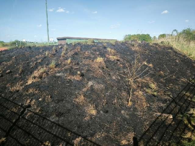 In Sottrum verursachte ein gezündeter Böller einen Flächenbrand am Gymnasium. Polizei sucht Zeugen, die die Jugendlichen auf E-Scootern gesehen haben.