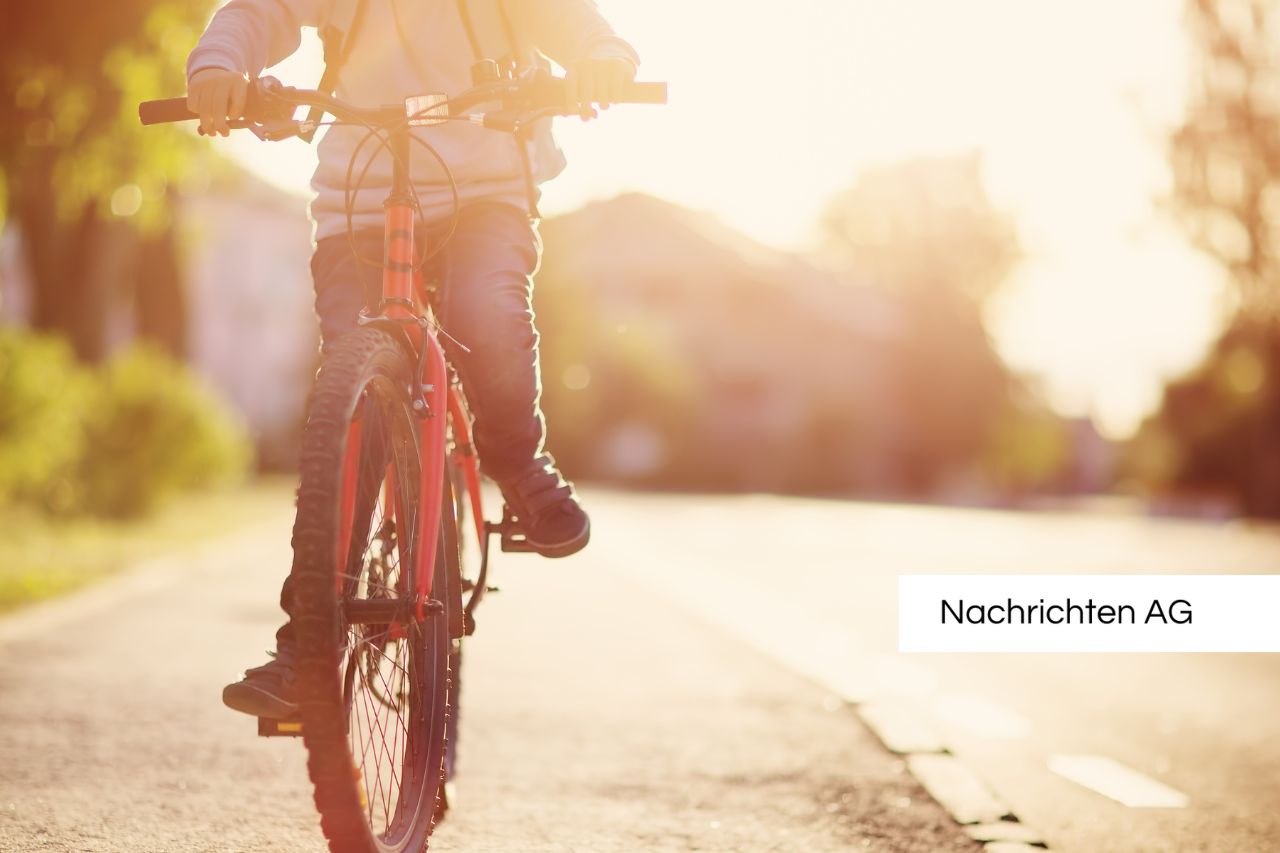 Fahrrad-Räuber in Ahrbergen! Wer kennt diesen Mountainbike-Dieb?