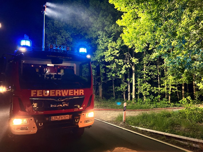 Feuer im Wald bei Lage: Feuerwehr schnell zur Stelle!