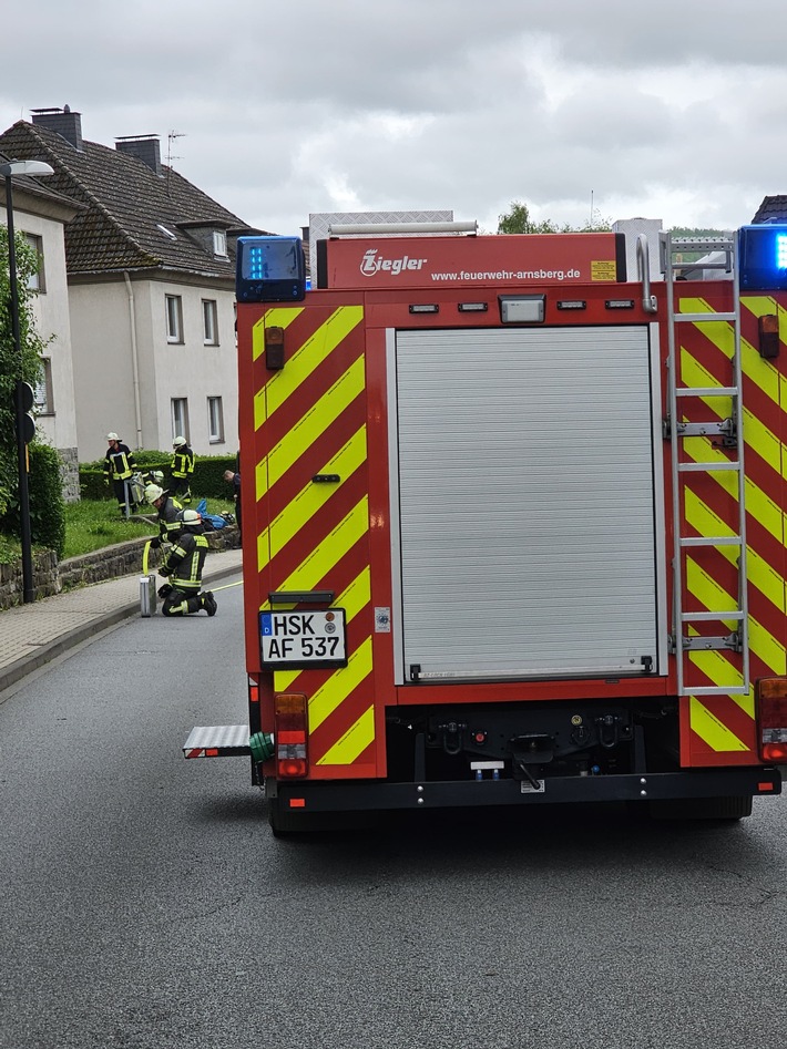 Die Feuerwehr Arnsberg rettete heute Morgen vier Katzen aus einer brennenden Wohnung in der Ringstraße. Brandursache wird ermittelt.