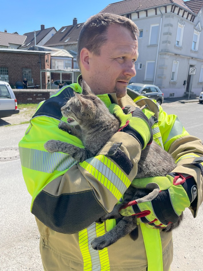Feuerwehr retten: Katze klemmt im Fenster - Nachbarn alarmieren!