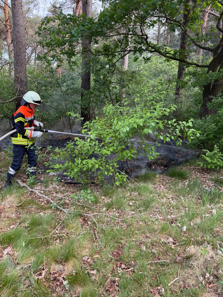 Flächenbrand in Volkensen: Feuerwehr verhinderten Schlimmeres!
