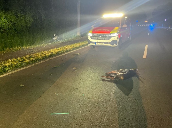 Motorradfahrer bei Kollision mit Reh schwer verletzt – B235 gesperrt!
