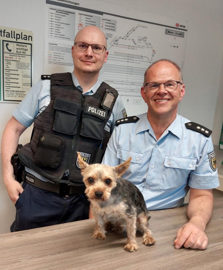 Am 30. April entdeckte die Bundespolizei in Weiden einen herrenlosen Hund. Dank schnellem Handeln fand "Rocky" seinen Besitzer wieder.