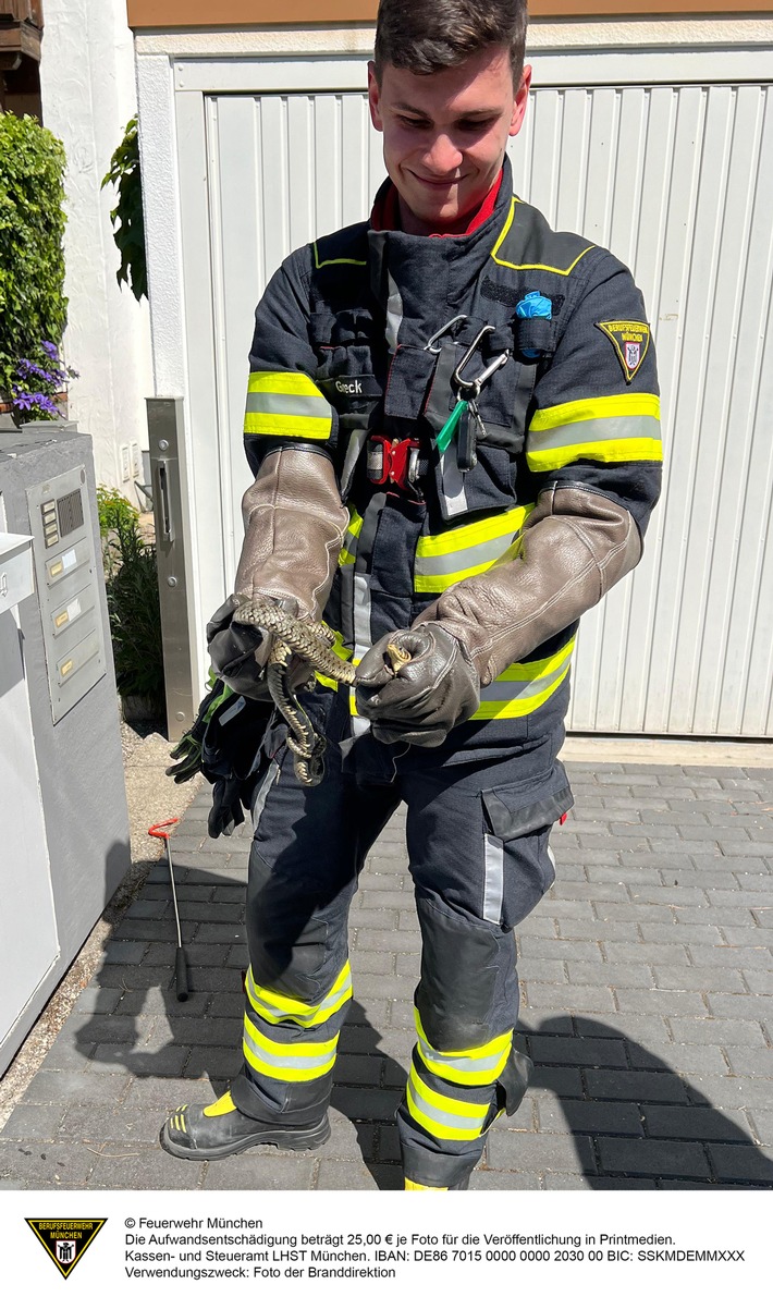 Schlange im Garten: Feuerwehr München rückt zur Lerchenau aus!