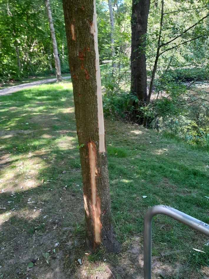 Skandal im Dorfpark: Bäume brutal beschädigt – Polizei sucht Zeugen!