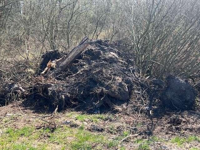 Unbekannte entsorgten illegal in Großefehn Baumwurzeln und Strauchschnitt. Polizei sucht Zeugen für Hinweise.
