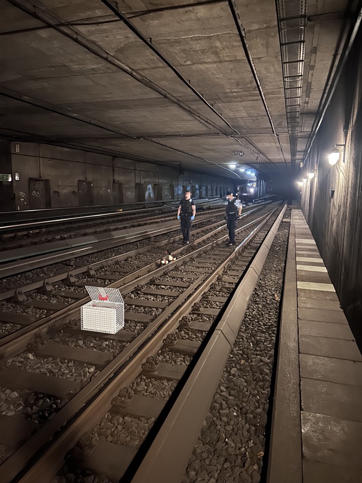 Tierische Rettung im Bahnhof Altona: Entenfamilie auf Abwegen!