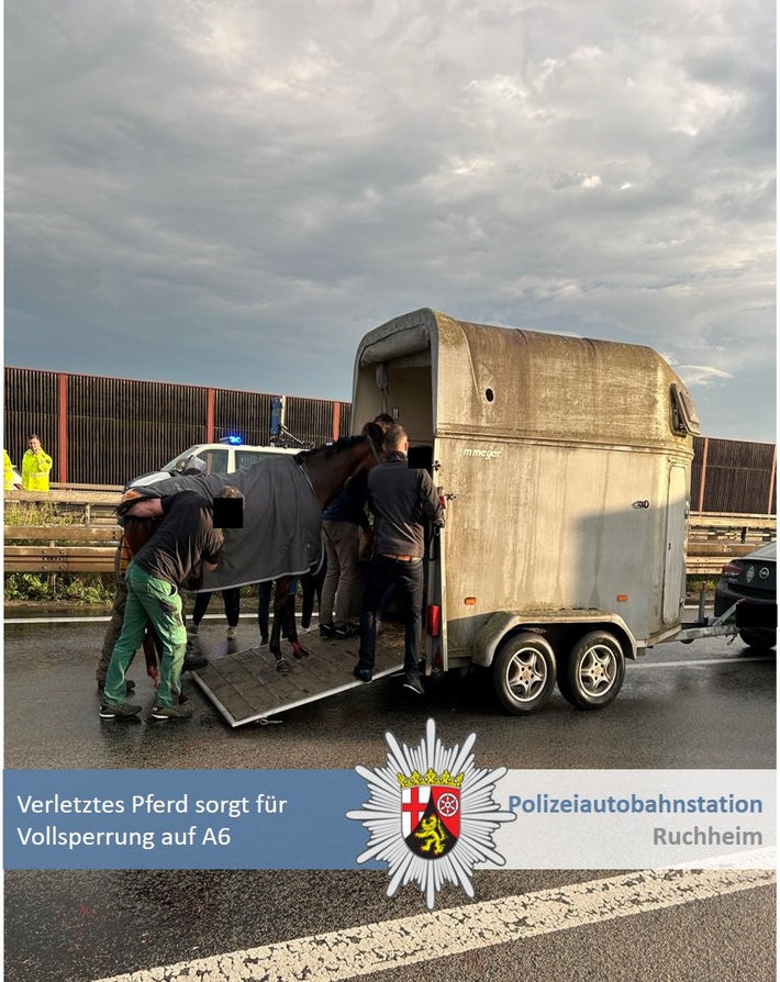 Ein verletztes Pferd führte am 03.05.2025 zu einer Vollsperrung der A6 bei Mannheim-Sandhofen. Polizei und Rettungskräfte sorgten für die Rettung des Tieres.
