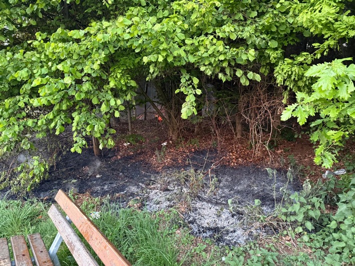 Waldbrand in Höingen: Feuerwehr verhindert Katastrophe nach Grill-Unfall!