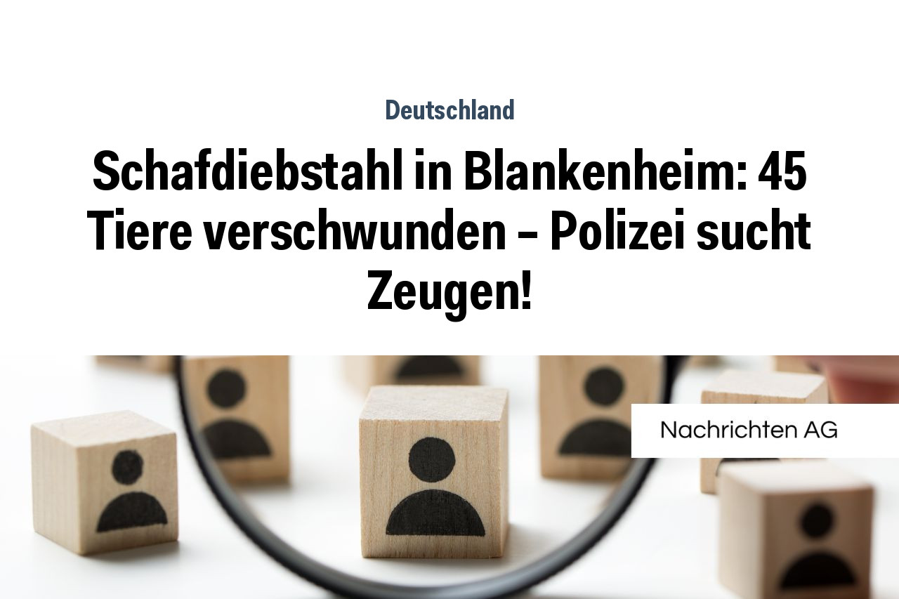 Schafdiebstahl in Blankenheim: 45 Tiere verschwunden – Polizei sucht Zeugen!