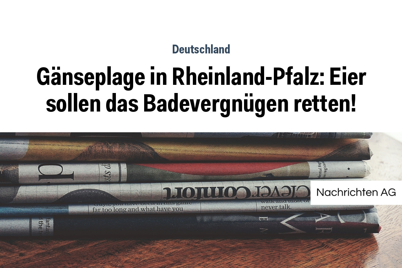 Gänseplage in Rheinland-Pfalz: Eier sollen das Badevergnügen retten!