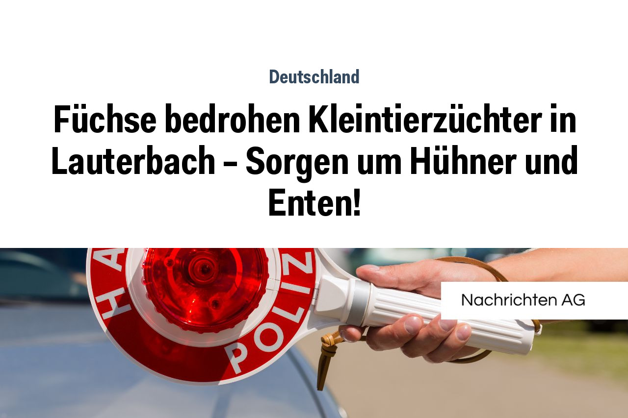 Füchse bedrohen Kleintierzüchter in Lauterbach – Sorgen um Hühner und Enten!