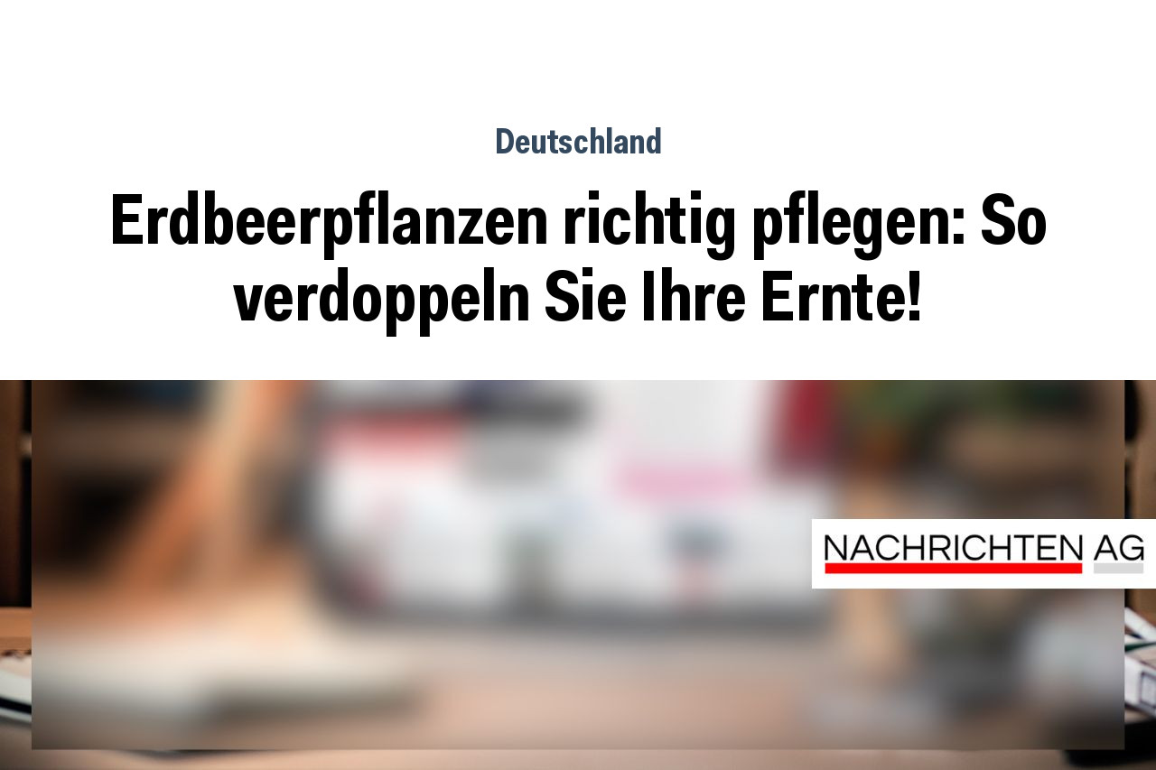 Erdbeerpflanzen richtig pflegen: So verdoppeln Sie Ihre Ernte!