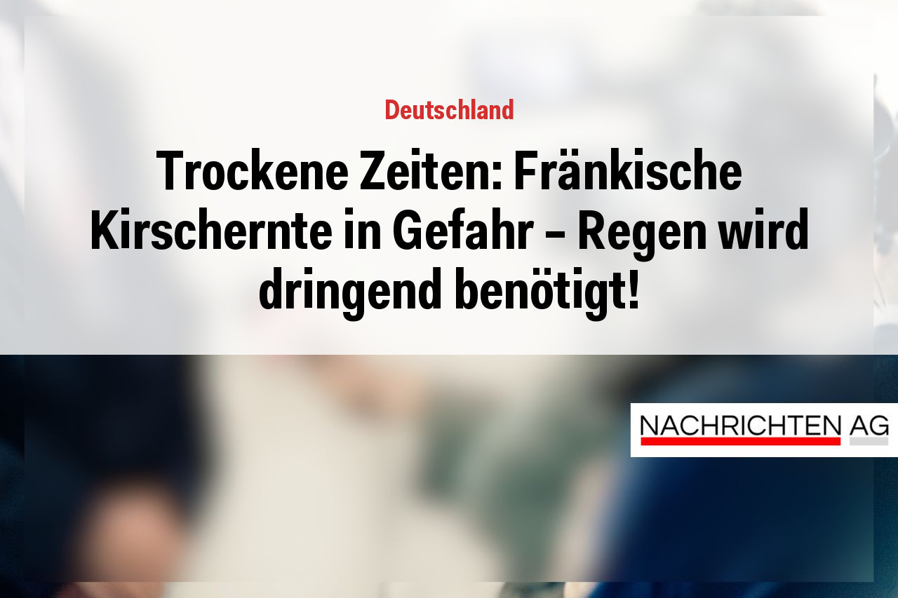 Trockene Zeiten: Fränkische Kirschernte in Gefahr – Regen wird dringend benötigt!