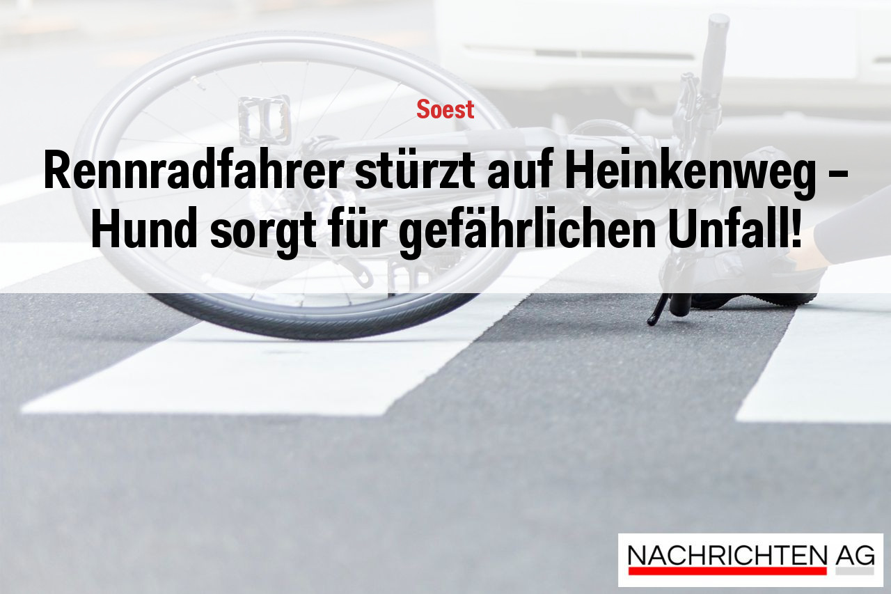 Rennradfahrer stürzt auf Heinkenweg – Hund sorgt für gefährlichen Unfall!