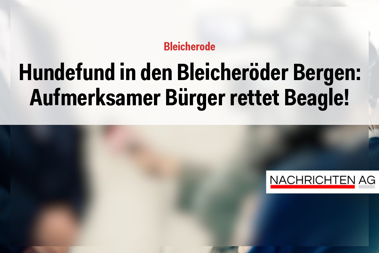 Hundefund in den Bleicheröder Bergen: Aufmerksamer Bürger rettet Beagle!