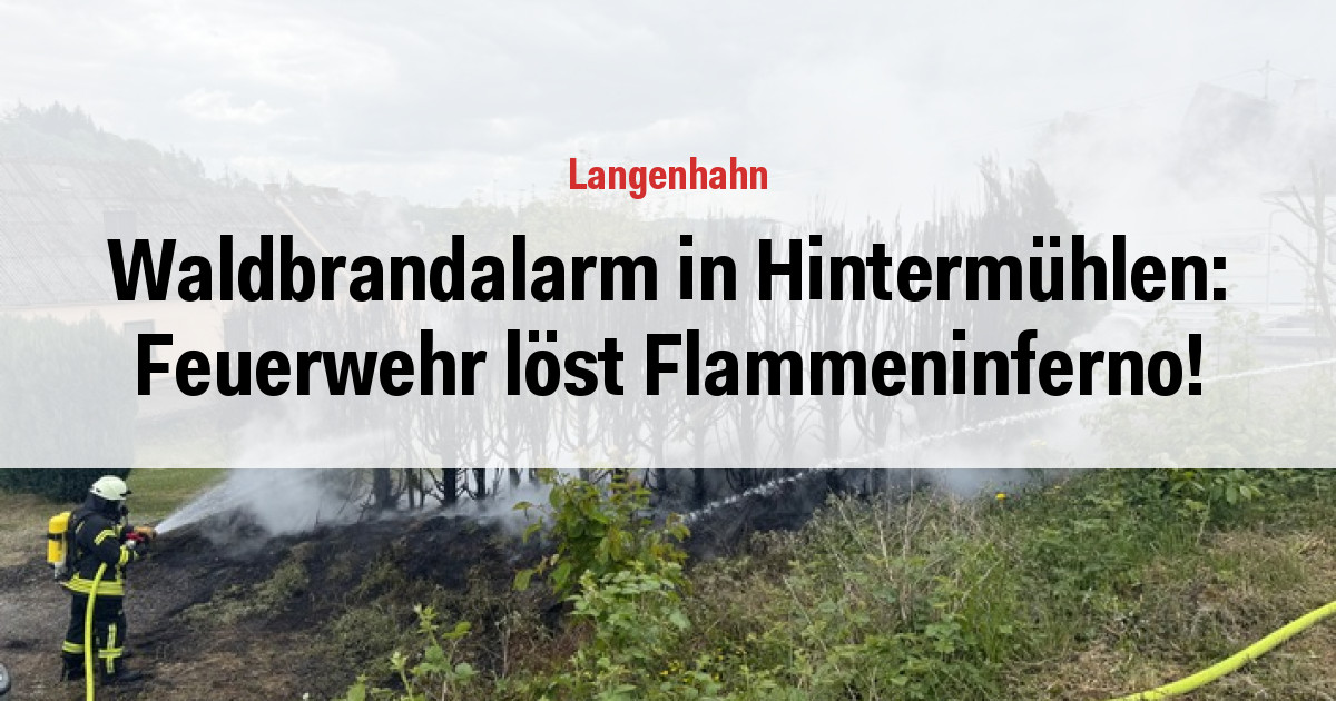 Waldbrandalarm in Hintermühlen: Feuerwehr löst Flammeninferno!