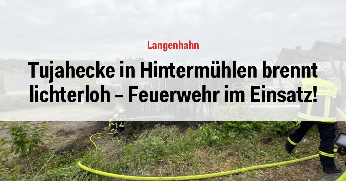 Tujahecke in Hintermühlen brennt lichterloh – Feuerwehr im Einsatz!
