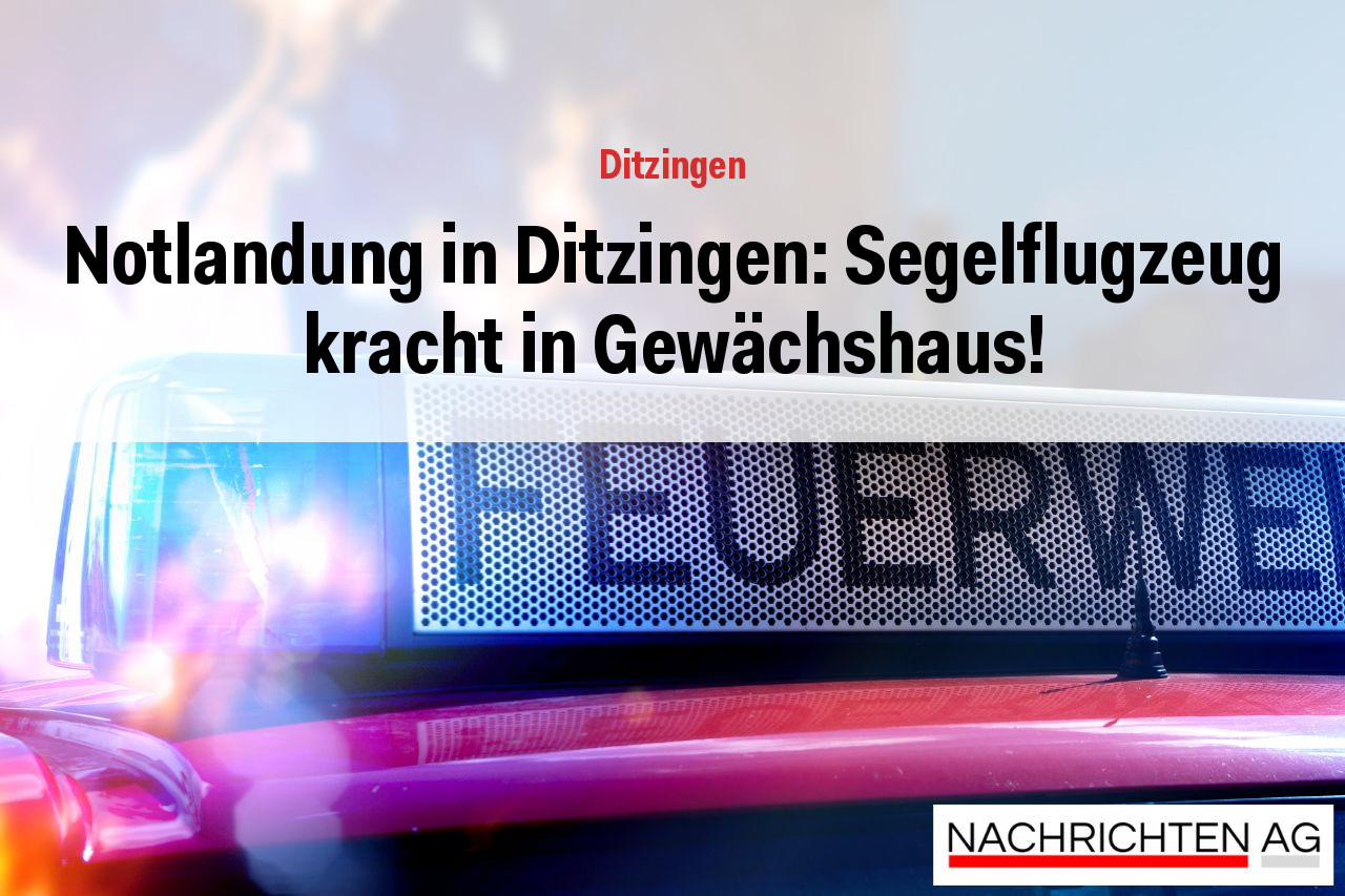 Notlandung in Ditzingen: Segelflugzeug kracht in Gewächshaus!