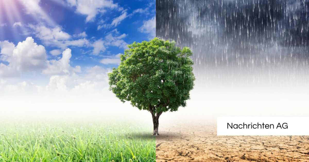 Klimawandel: Jüngere Generationen sind die größten Verlierer!