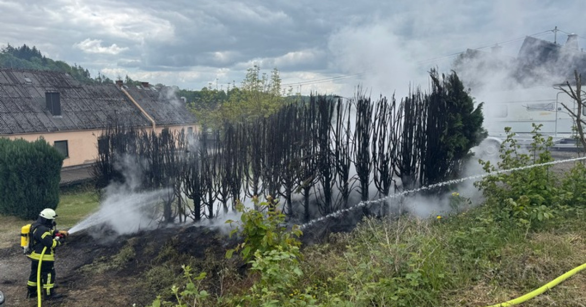 Waldbrandalarm in Hintermühlen: Feuerwehr löst Flammeninferno!