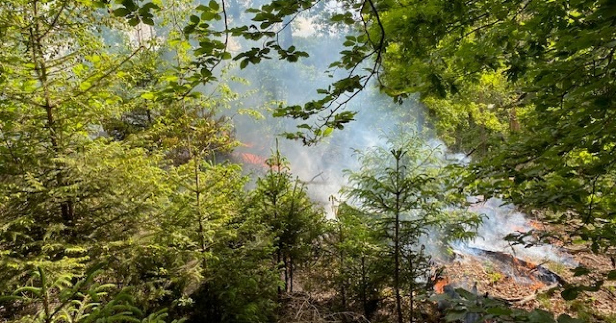 Waldbrand in Hermeskeil: Achtung! Brandgefahr durch Müllverbrennung!