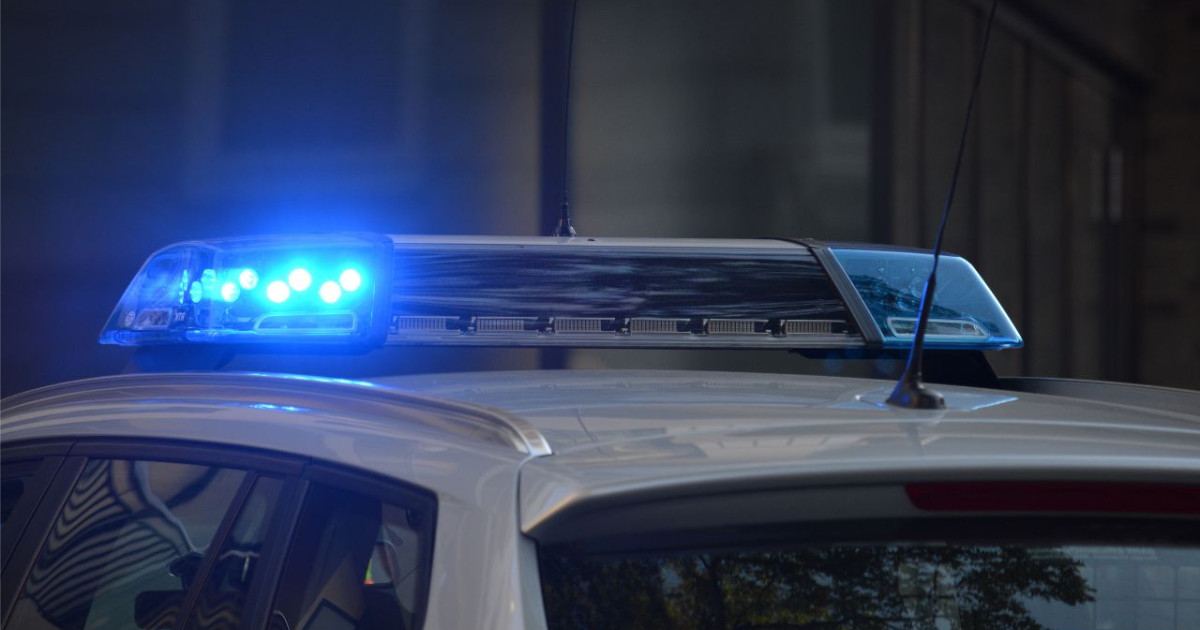 Entenküken in Gefahr: Polizei rettet Tiere von internationalen Straßen!