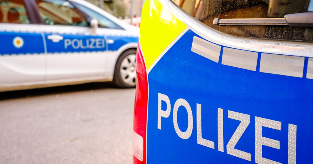 Nandu bleibt verschwunden: Drohnen und Jäger intensivieren Suche!