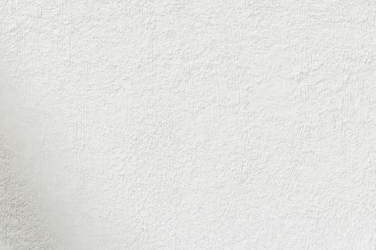 Kapuzineraffen tragen Brüllaffenbabys: Wildes Verhalten ohne Nutzen!
