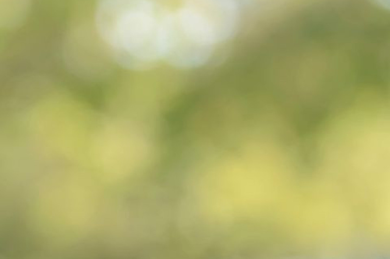 Freiburg kämpft gegen Antibiotikaresistenzen: Neues aus der Forschung!