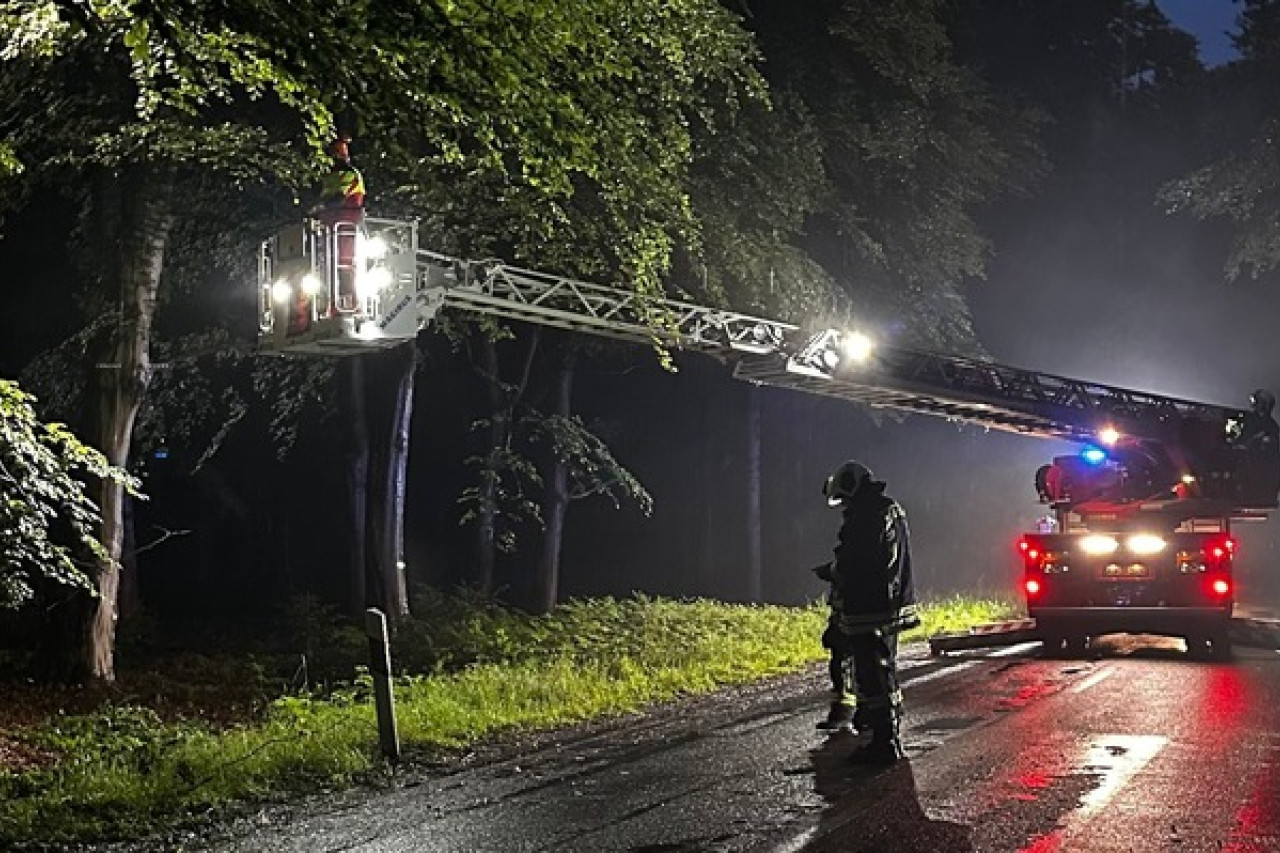 Einsatz im Egelser Wald: Feuerwehr befreit Straße von herabgestürzten Ästen