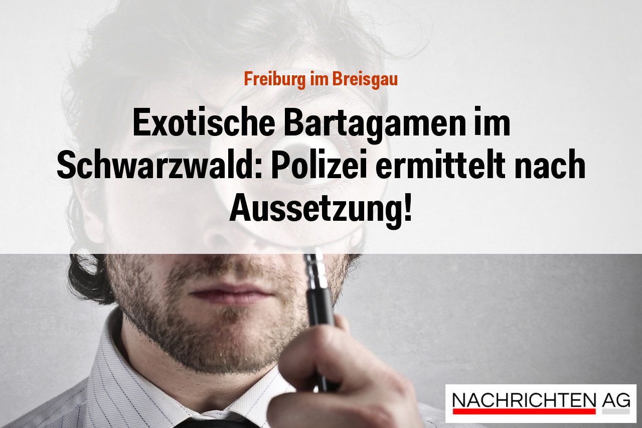Exotische Bartagamen im Schwarzwald: Polizei ermittelt nach Aussetzung!