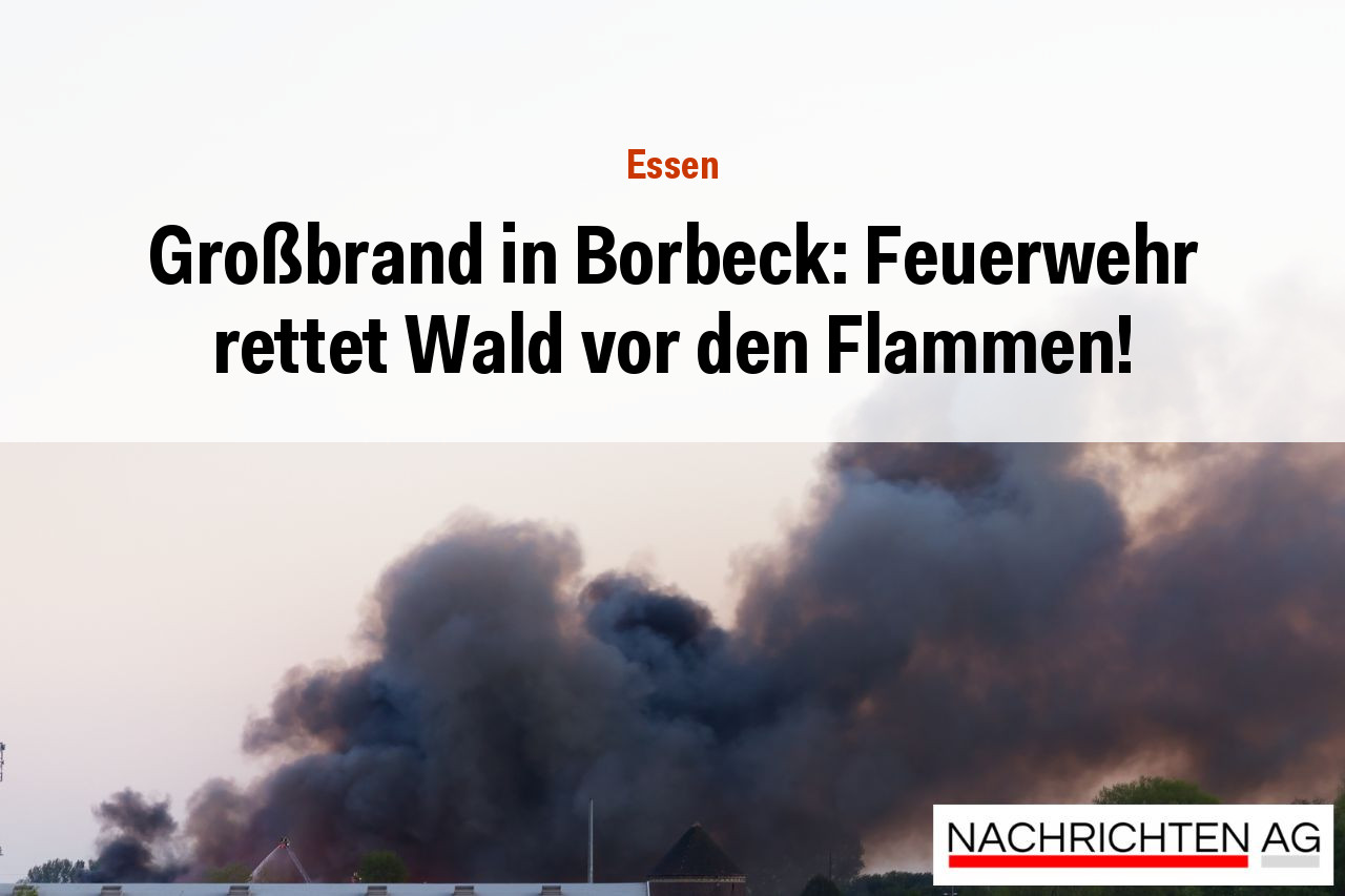 Großbrand in Borbeck: Feuerwehr rettet Wald vor den Flammen!