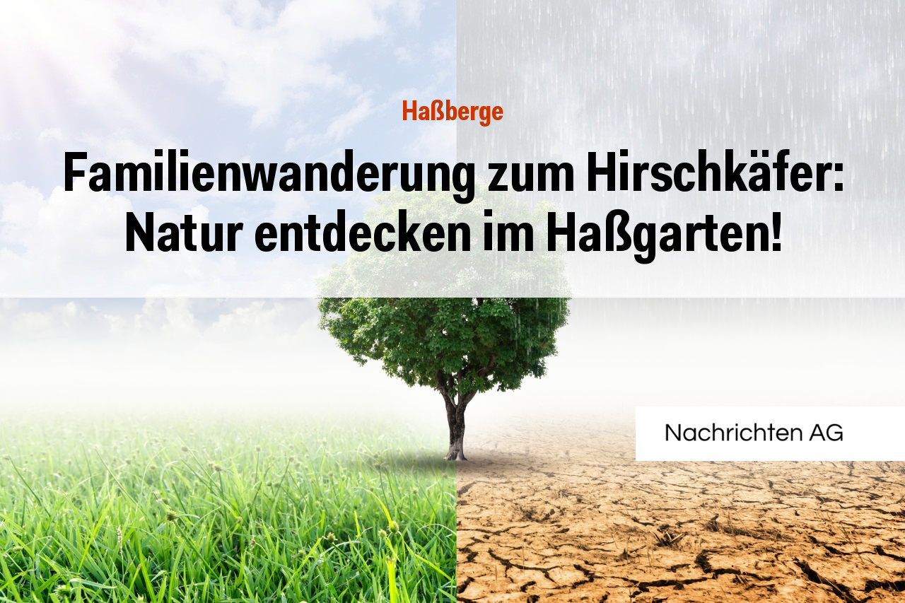 Familienwanderung zum Hirschkäfer: Natur entdecken im Haßgarten!