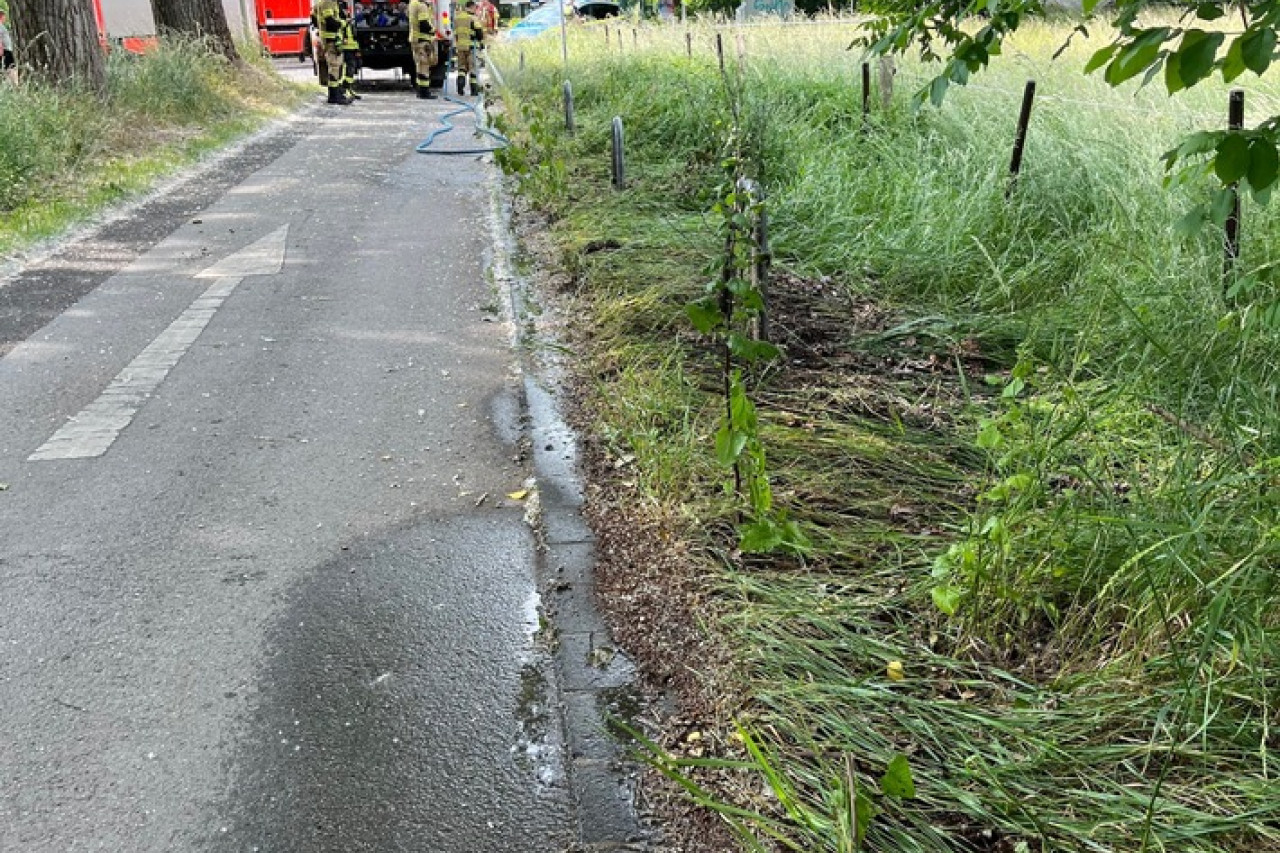 Feldrand in Hilden in Flammen: Polizei sucht Zeugen!