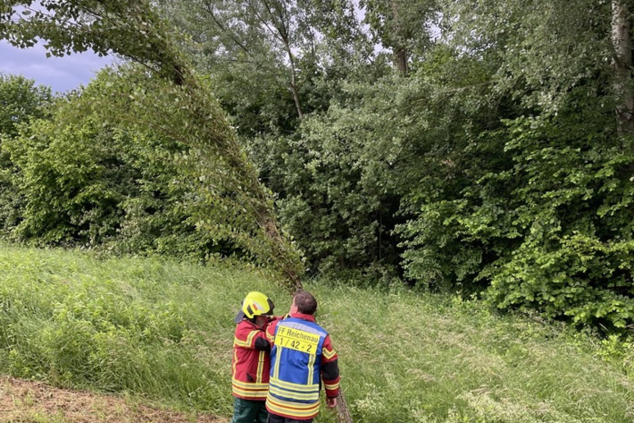Baumsturz-Gefahr in Reichenau: Feuerwehr rettet Autofahrer!