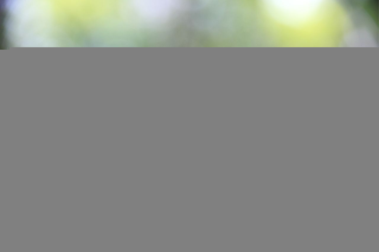 Müllgebühren im Ebersberger Landkreis: Bürger sind wütend über Preisexplosion!
