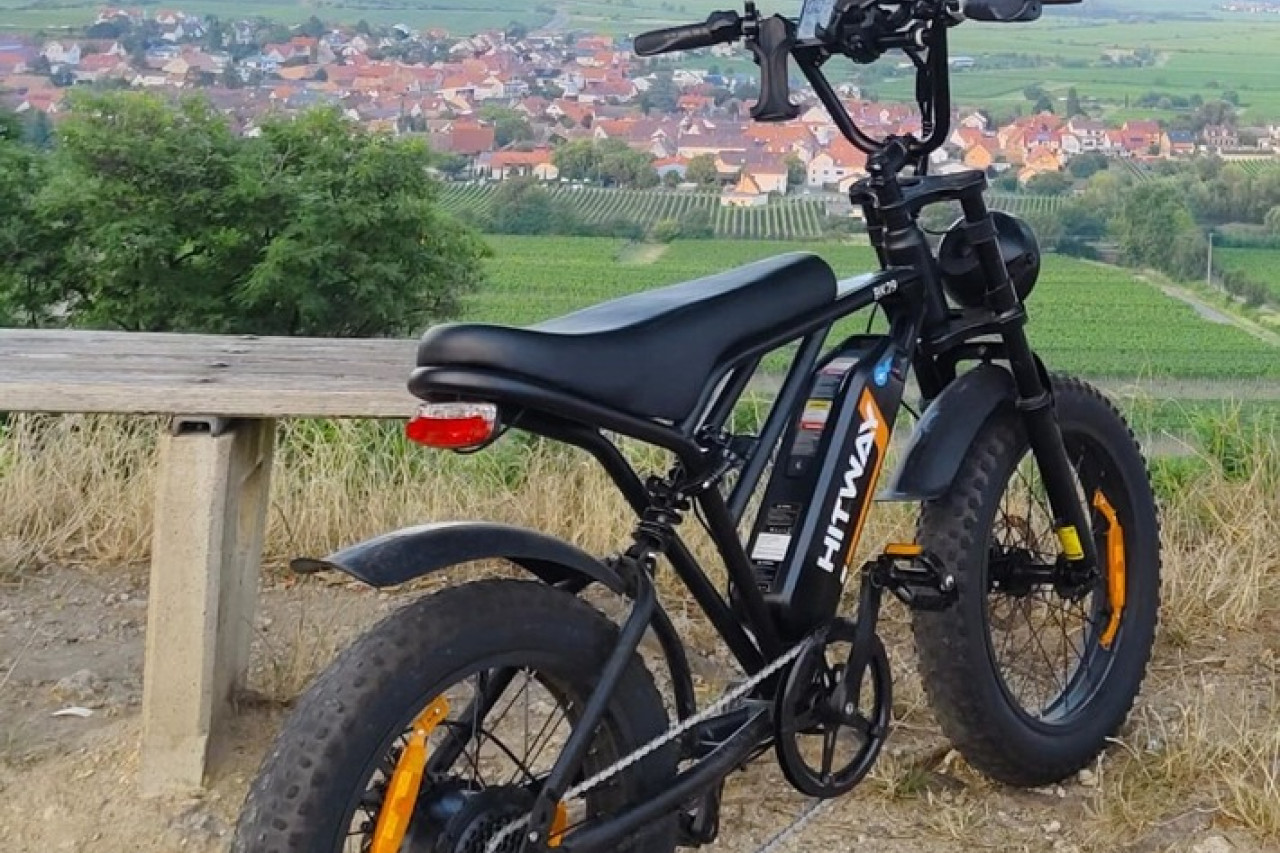 E-Bike-Diebstahl in Bad Dürkheim: Zeugen dringend gesucht!