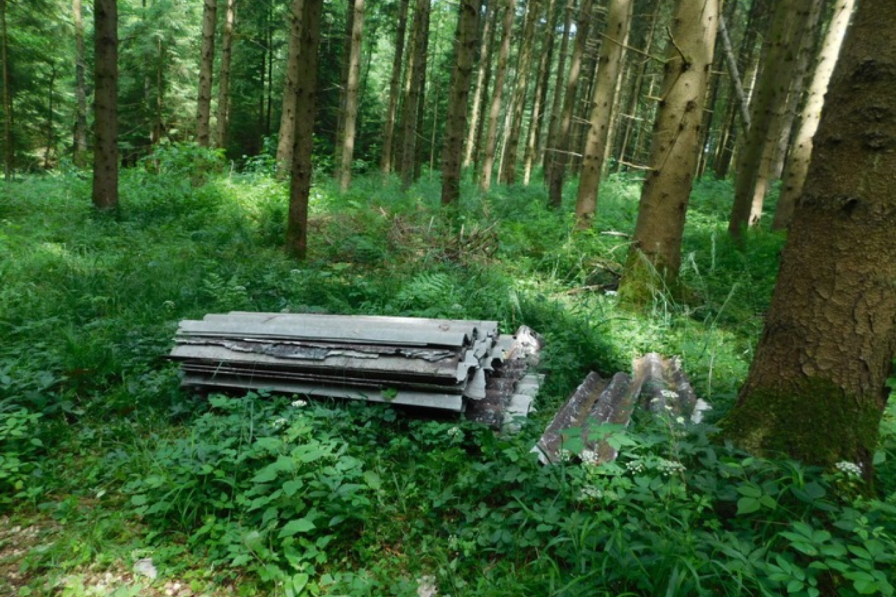 Umweltvergehen in Obermarchtal: Asbestplatten im Wald entsorgt!