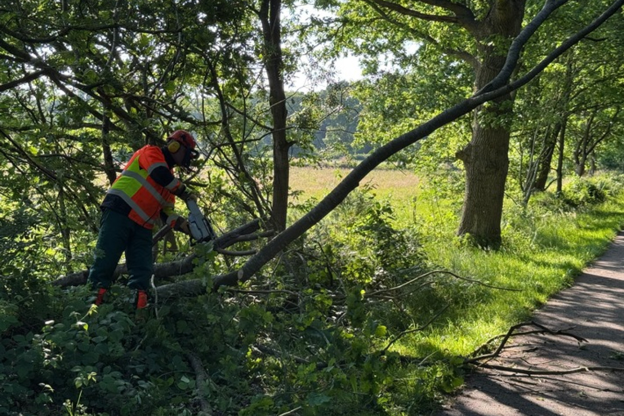 Baum droht auf Radweg zu fallen: Feuerwehr rettet Radfahrer in Aurich!