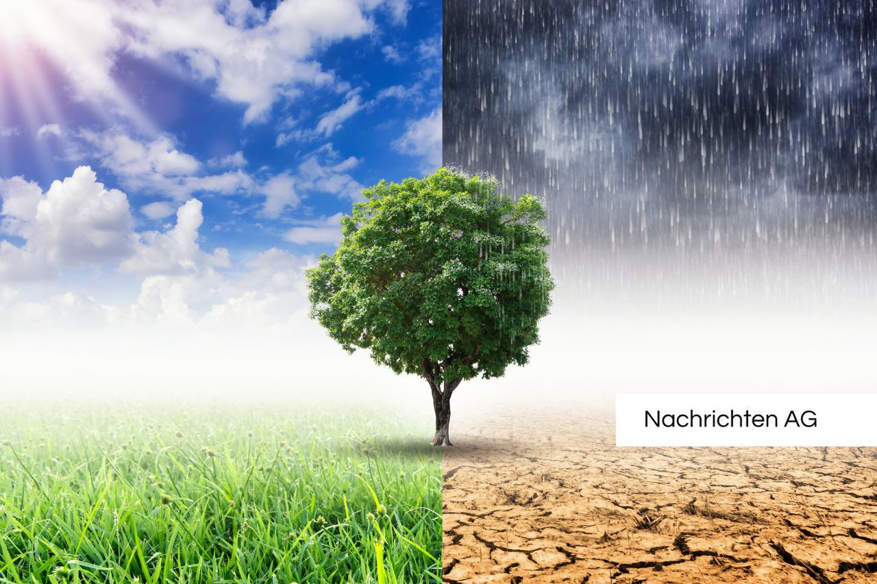 Sonnenschein oder Sonnenbrand? So schützt sich Bayern vor der Hitze!