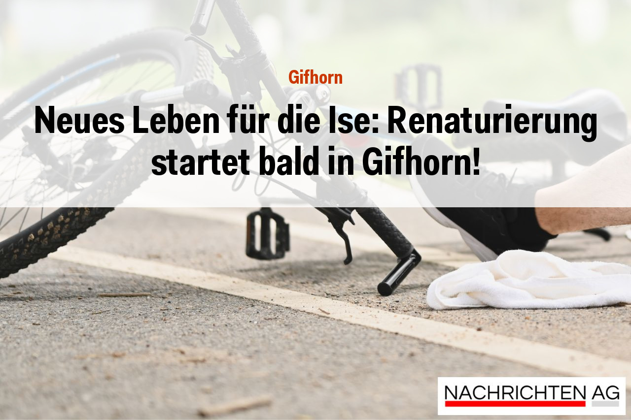 Neues Leben für die Ise: Renaturierung startet bald in Gifhorn!