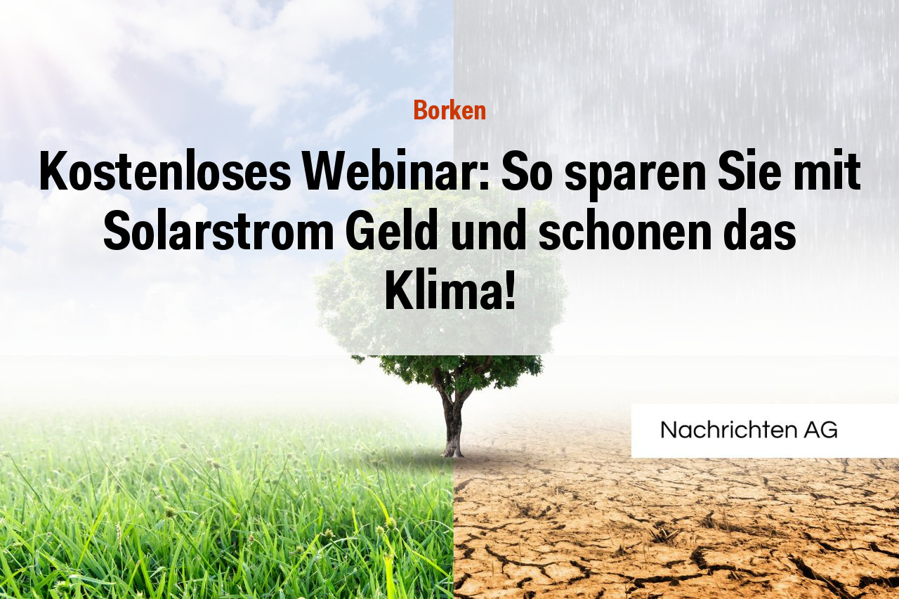 Kostenloses Webinar: So sparen Sie mit Solarstrom Geld und schonen das Klima!
