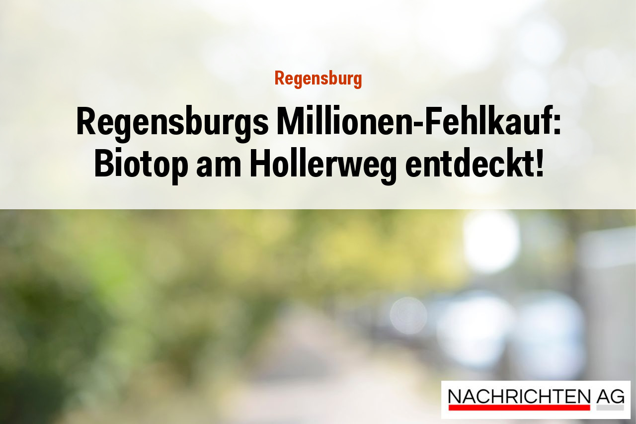 Regensburgs Millionen-Fehlkauf: Biotop am Hollerweg entdeckt!