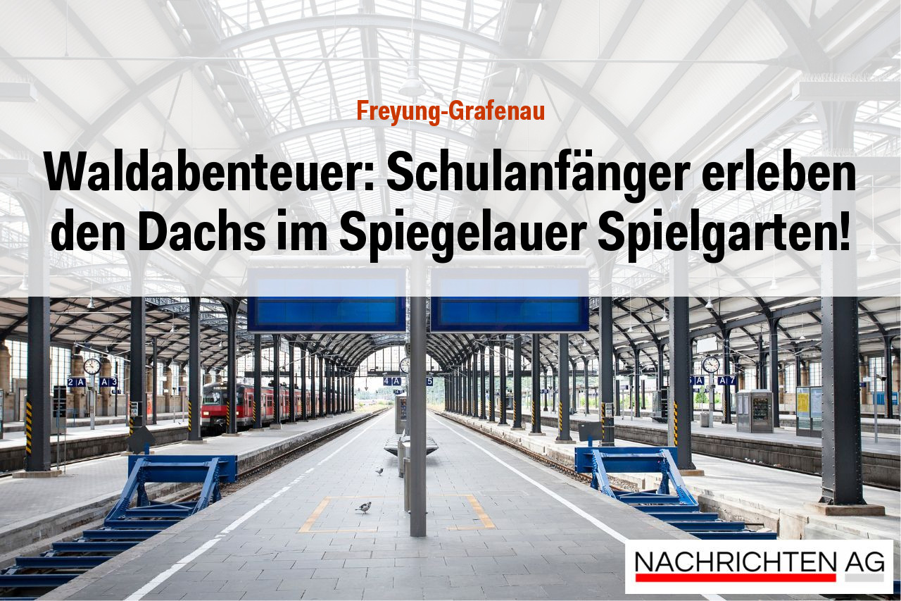 Waldabenteuer: Schulanfänger erleben den Dachs im Spiegelauer Spielgarten!