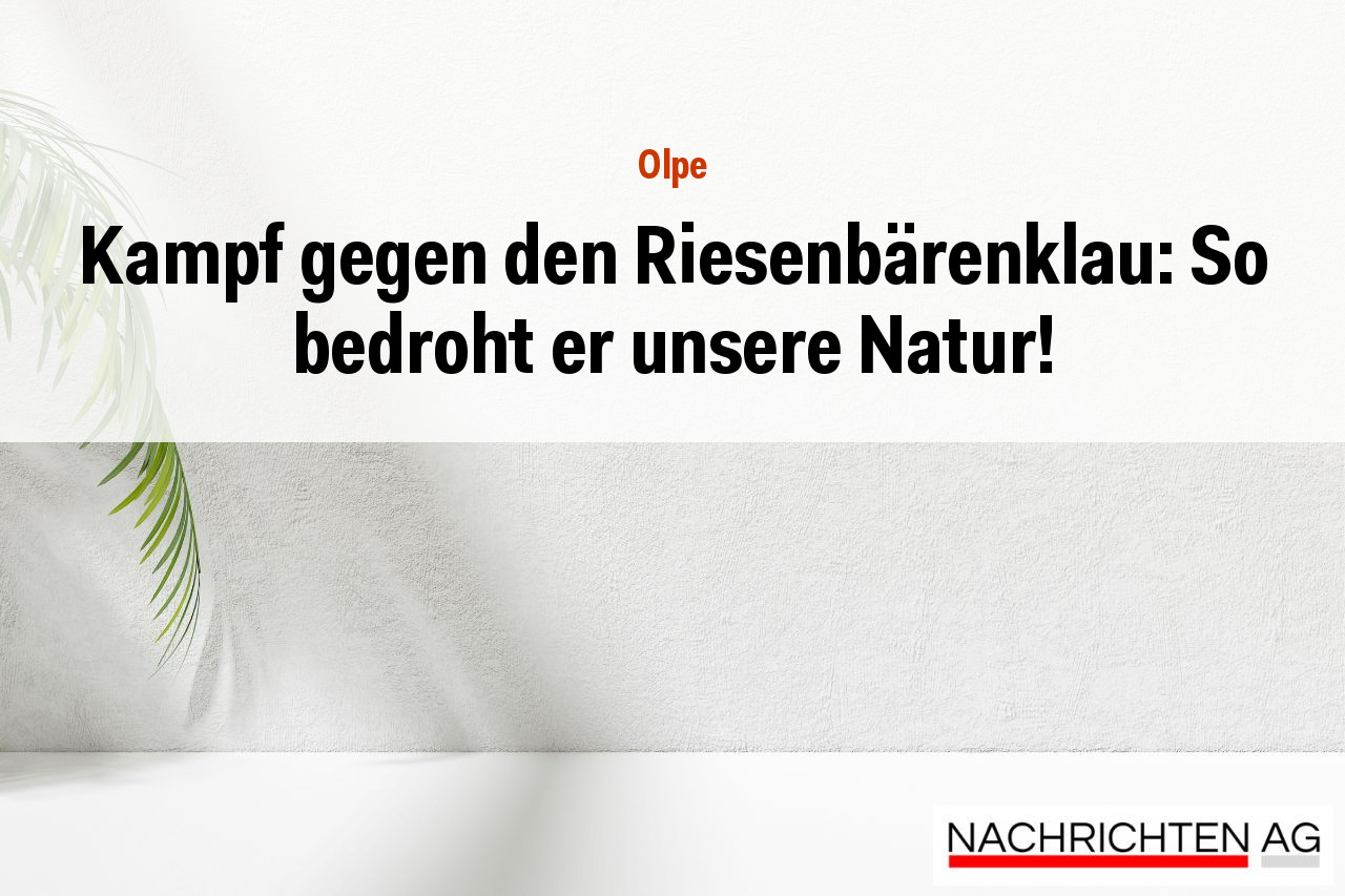 Kampf gegen den Riesenbärenklau: So bedroht er unsere Natur!