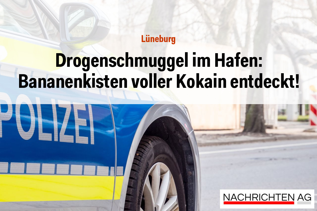 Drogenschmuggel im Hafen: Bananenkisten voller Kokain entdeckt!